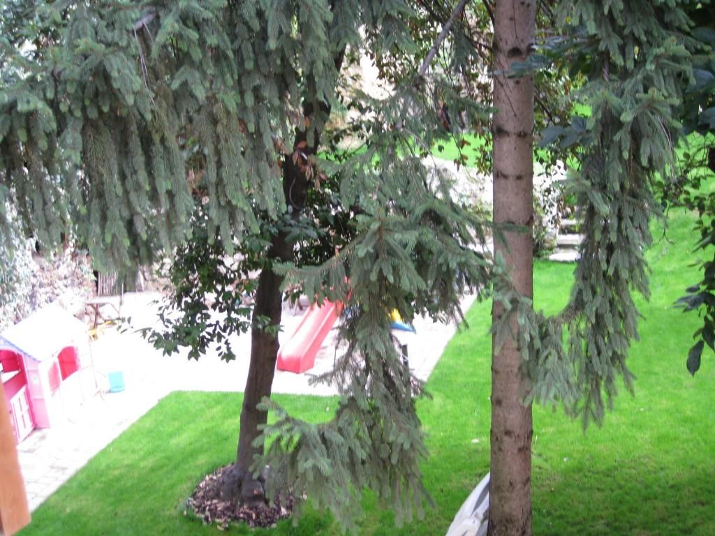 Residenza Al Parco фото 4
