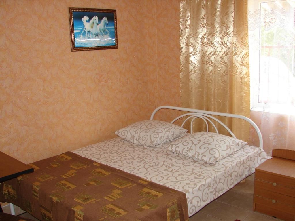 Сокол фото 11