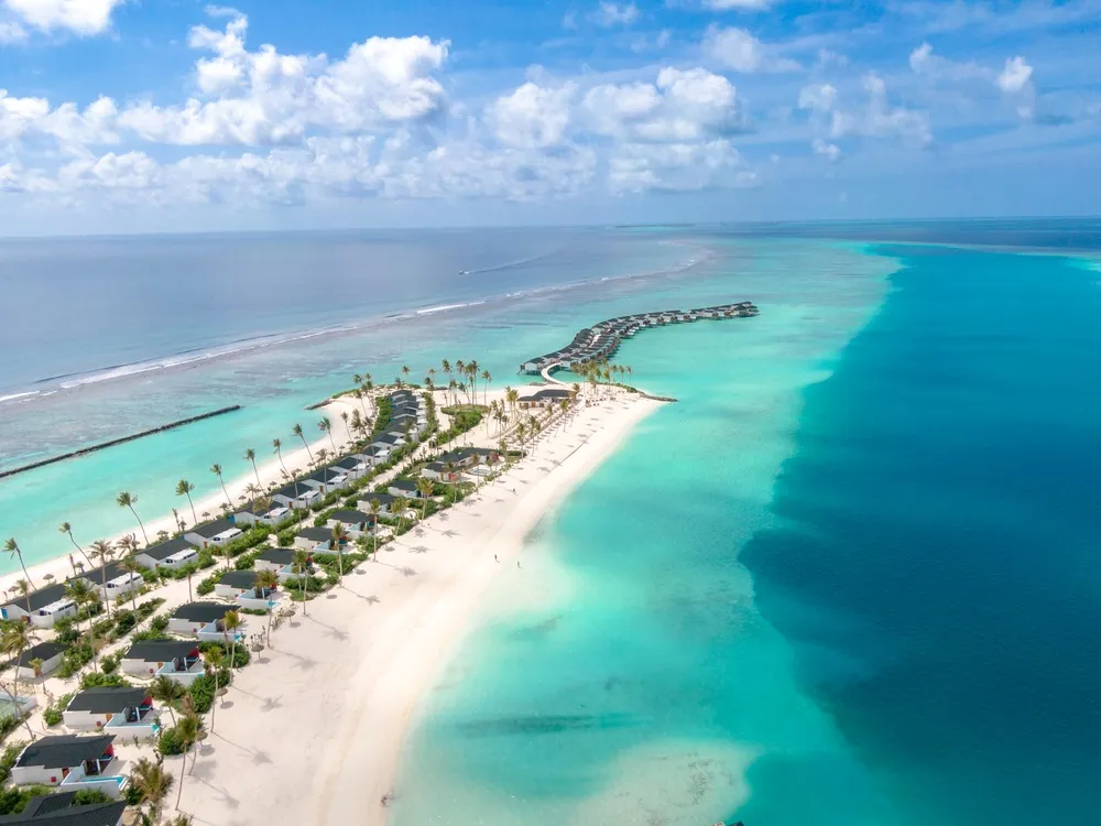 Joy Island фото 31