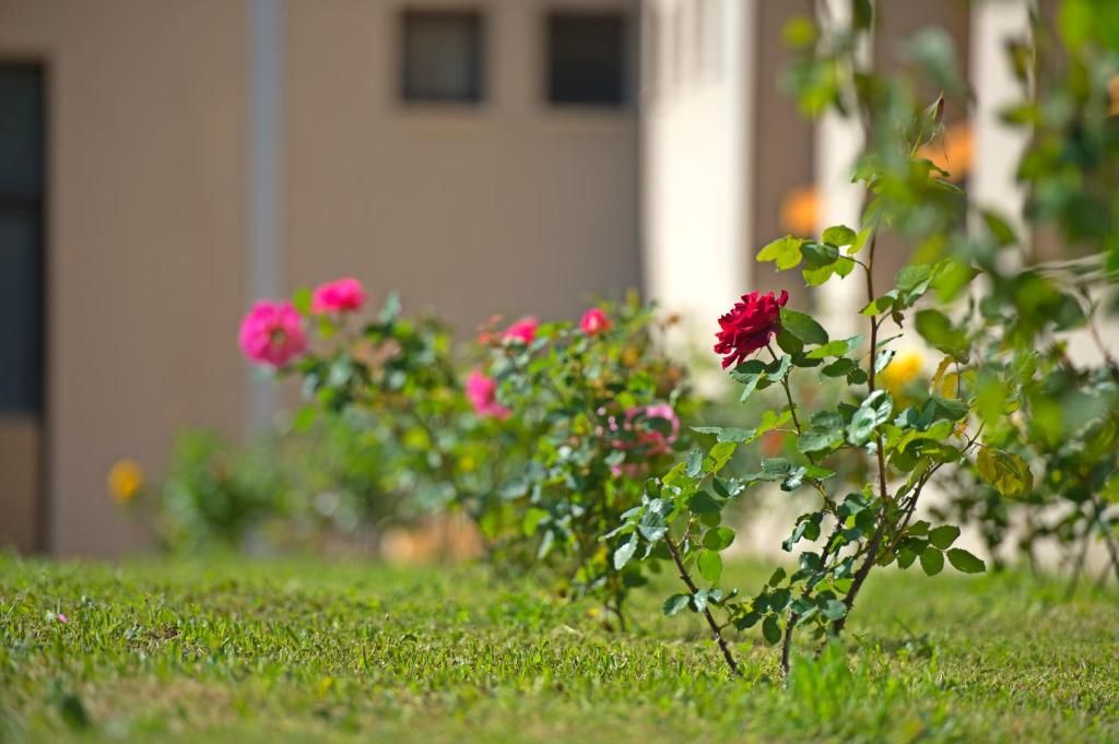 Kymi Palace Hotel фото 4
