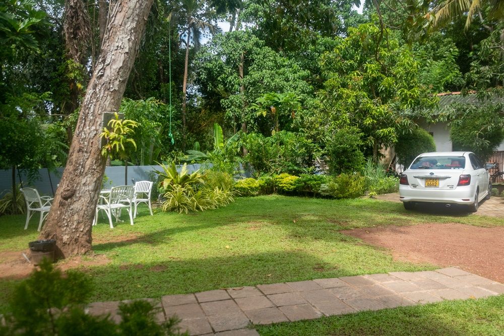 Green Edge Villa фото 52