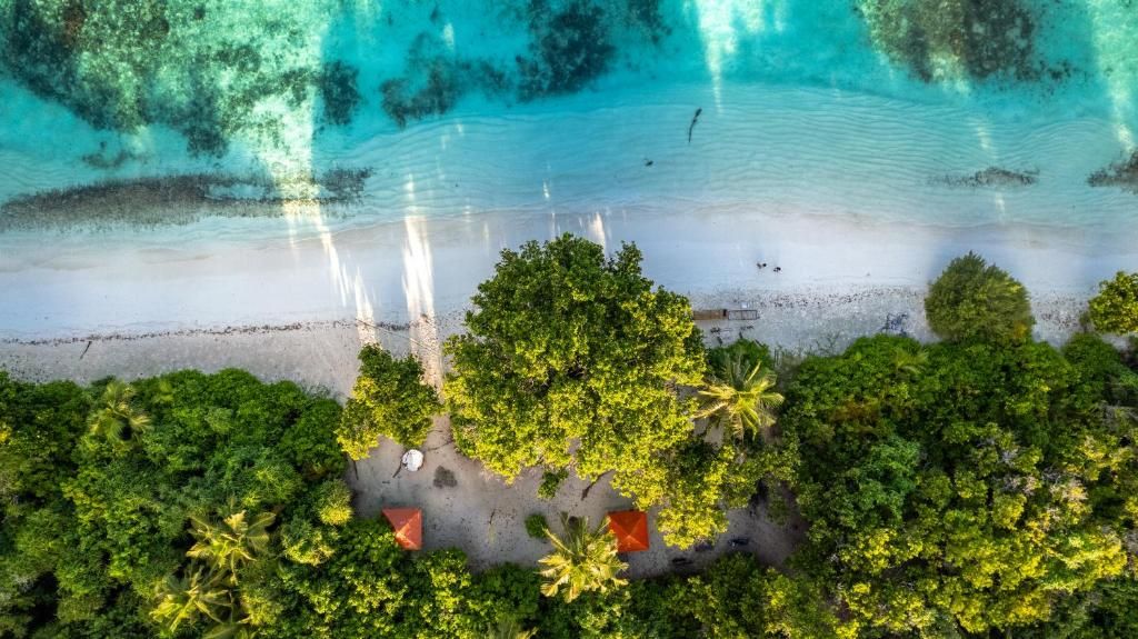 Whaleshark Beach фото 27