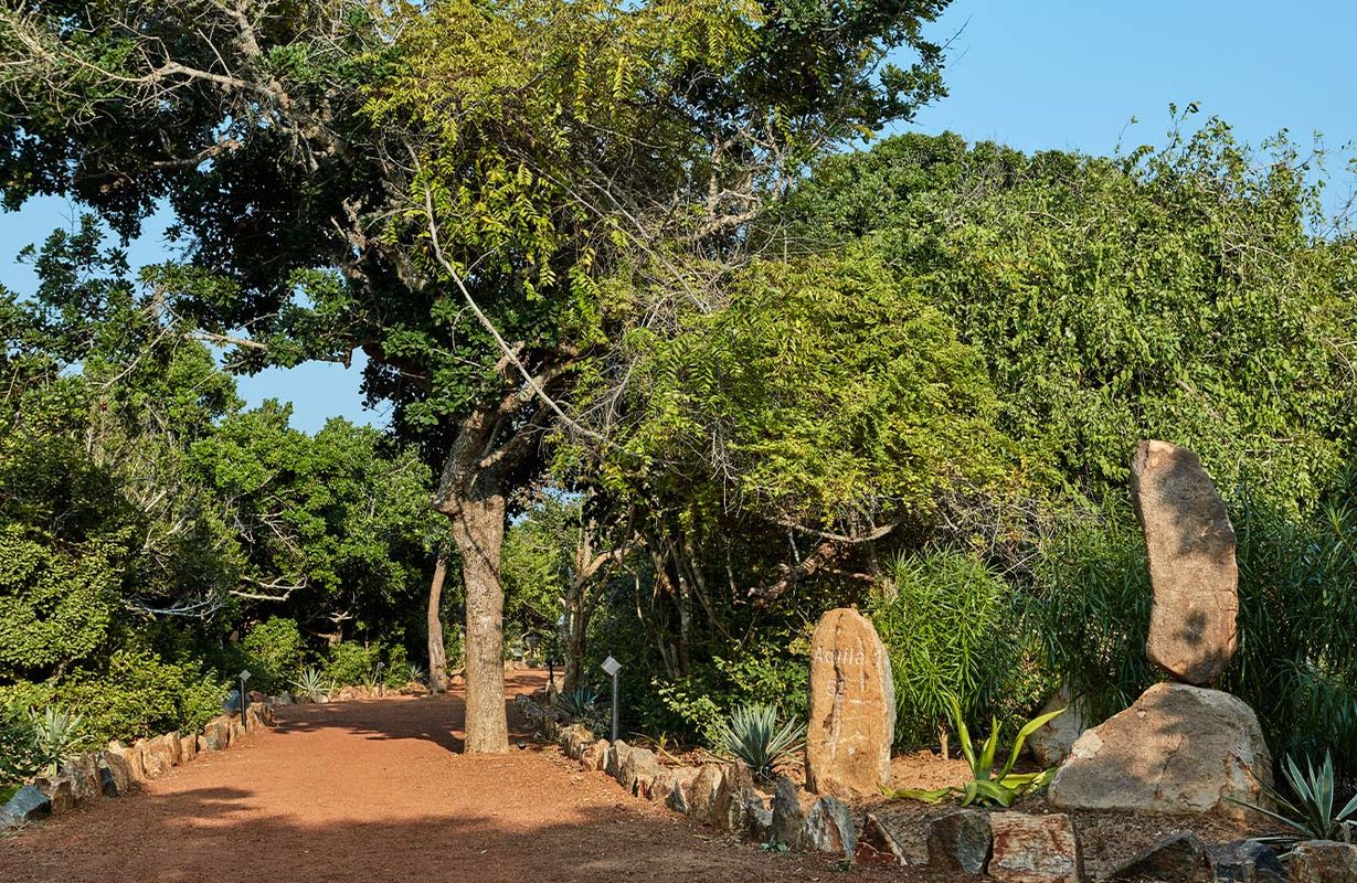 Wild Coast Tented Lodge фото 13