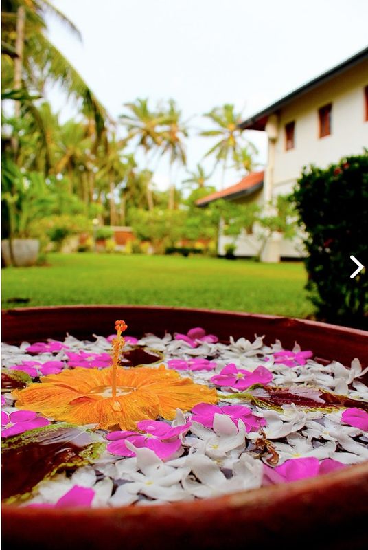 Ceylon bungalows фото 4