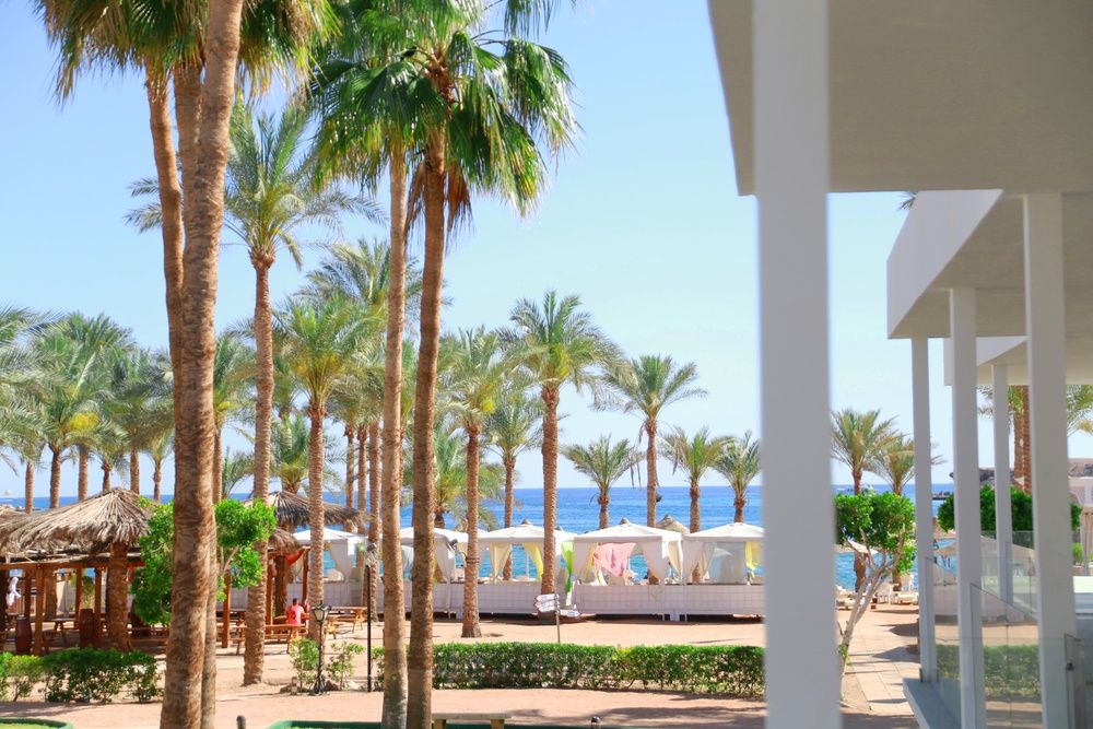 Seti Sharm Palm Beach Resort фото 108