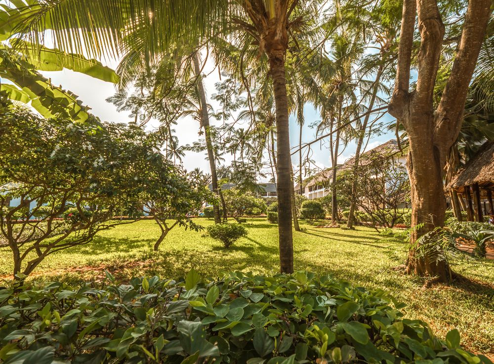 Nungwi Beach Resort by Turaco фото 120