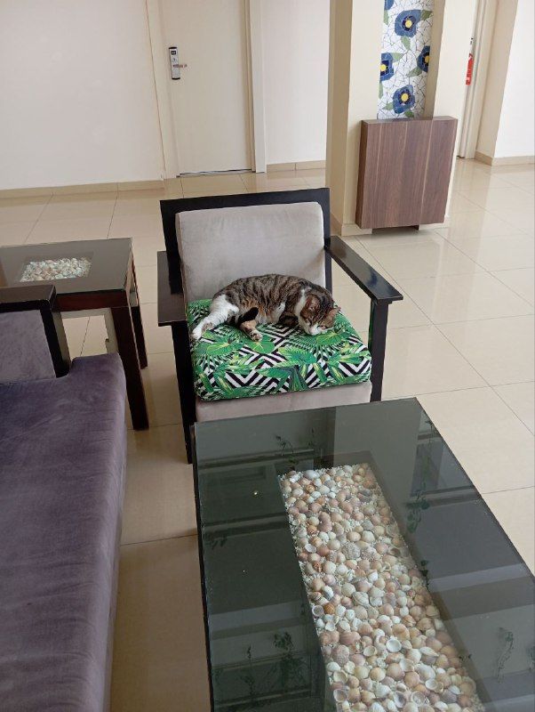 Sural Resort фото 66