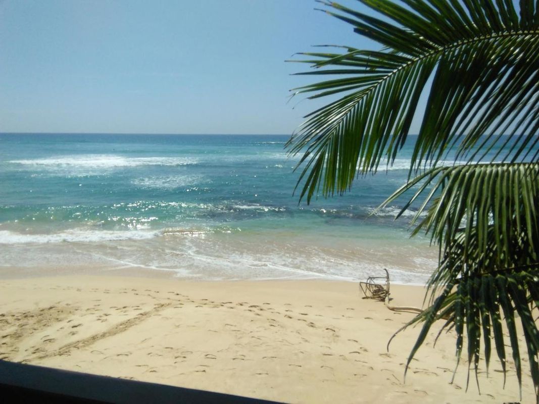 Rainbow Surf Beach фото 9