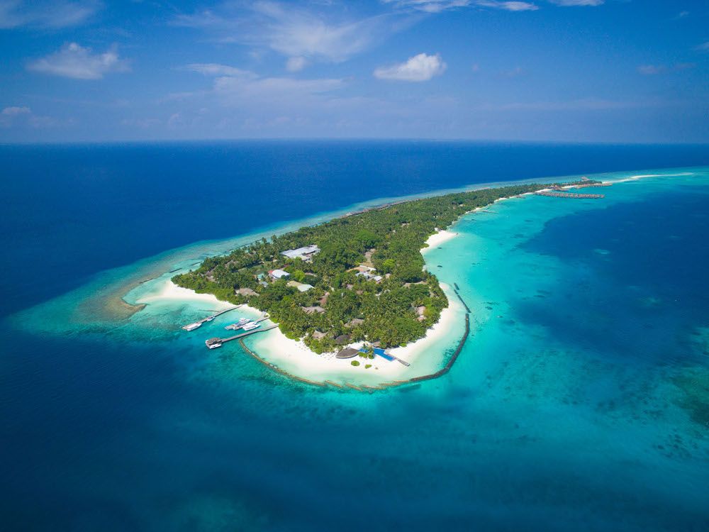Niva Kuramathi Maldives фото 38