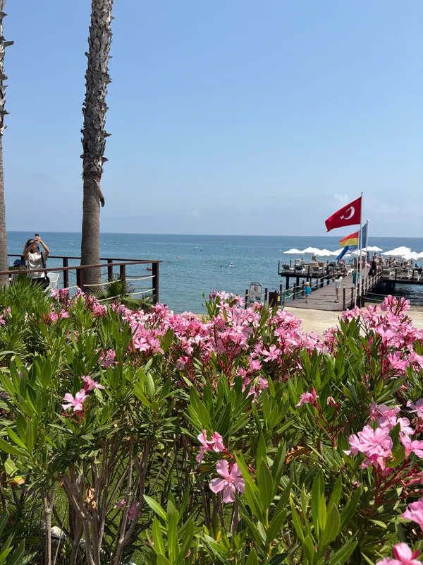Baia Salima Kemer фото 92