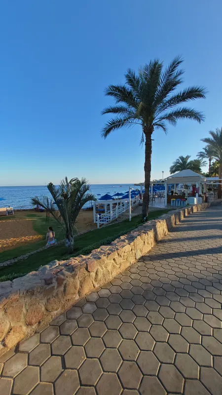Pickalbatros Royal Grand Resort Sharm El Sheikh (Adults Only) фото 91