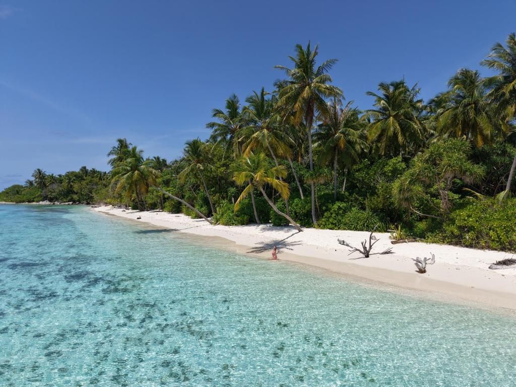 Guest House «Hitha Maldives Guest House» фото 30