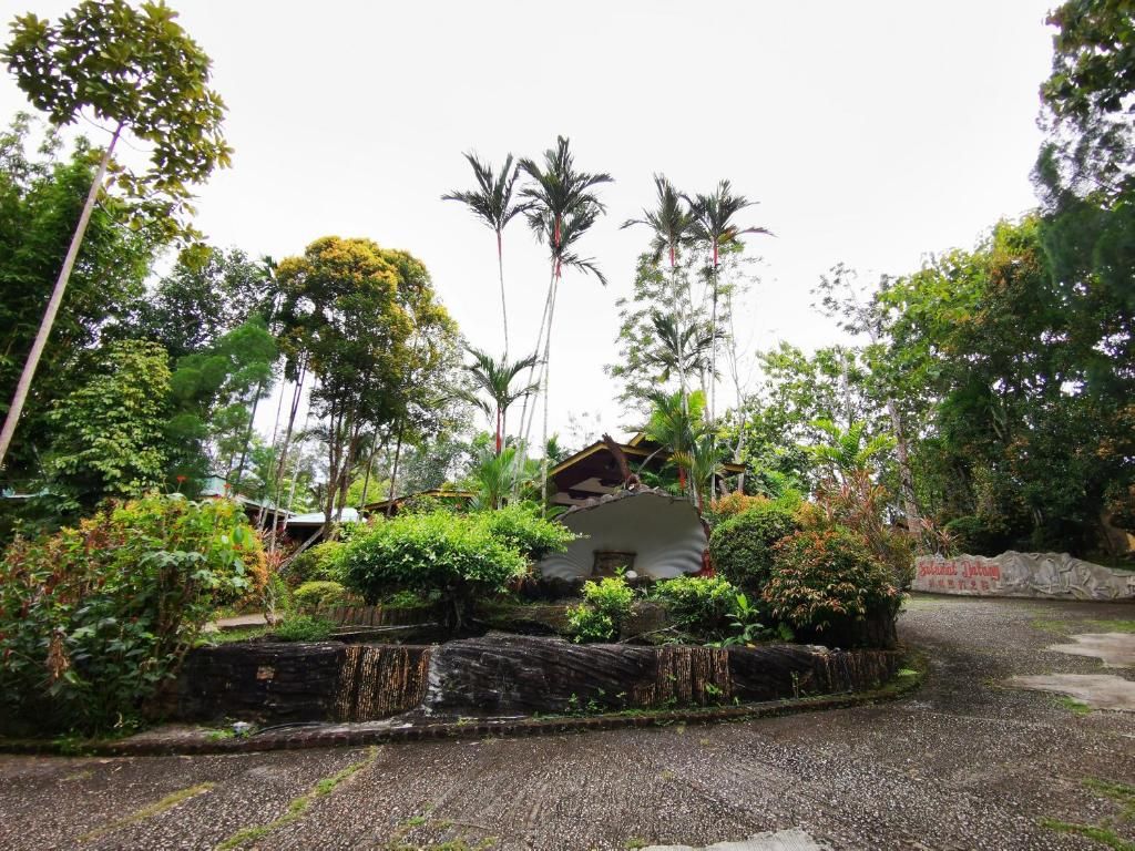 Sepilok Jungle Resort фото 20