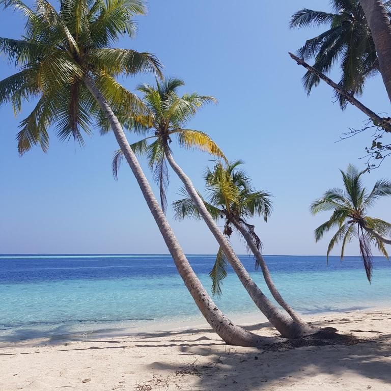 Vaali Island Escapes & Dive фото 28