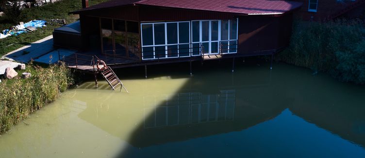 Фото отеля Лосиный двор