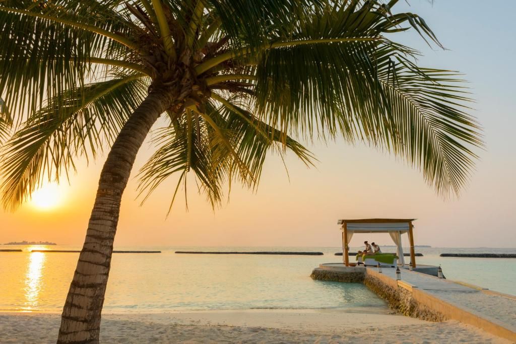 Niva Kurumba Maldives фото 38