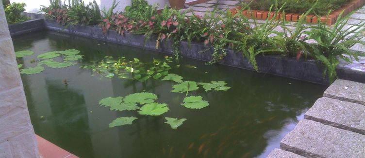 Фото отеля Kim Village