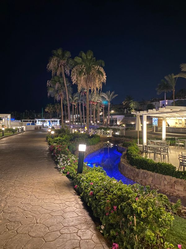 Savoy Sharm El Sheikh фото 73