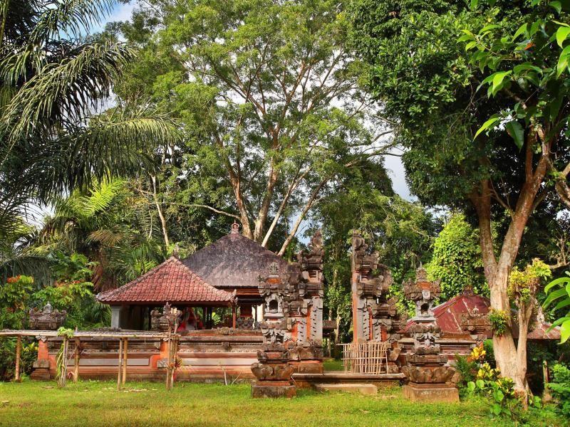 Nandini Bali Jungle & Spa фото 2