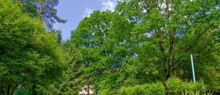 Фото отеля Санаторий «Переделкино»