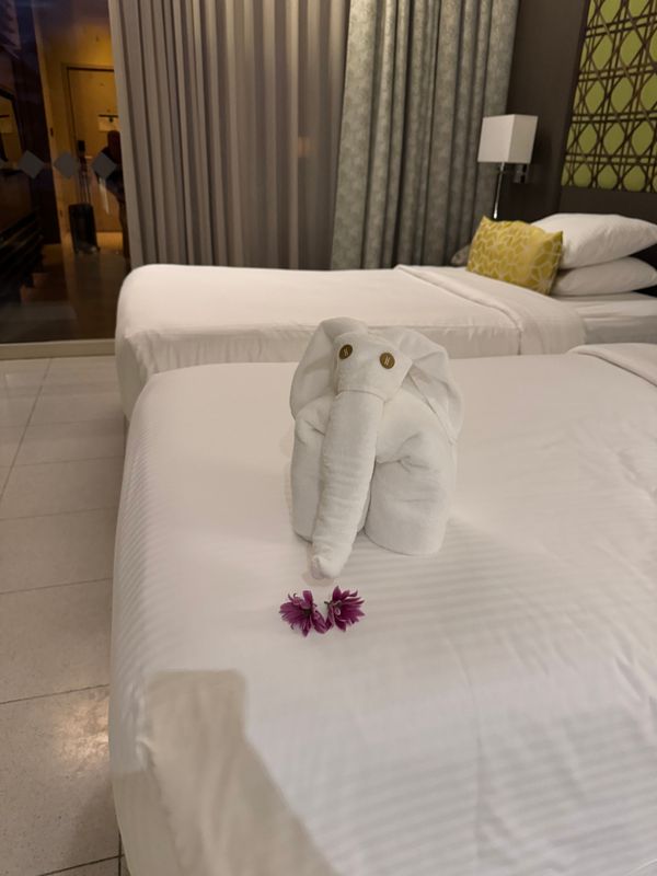 Heritance Negombo фото 36
