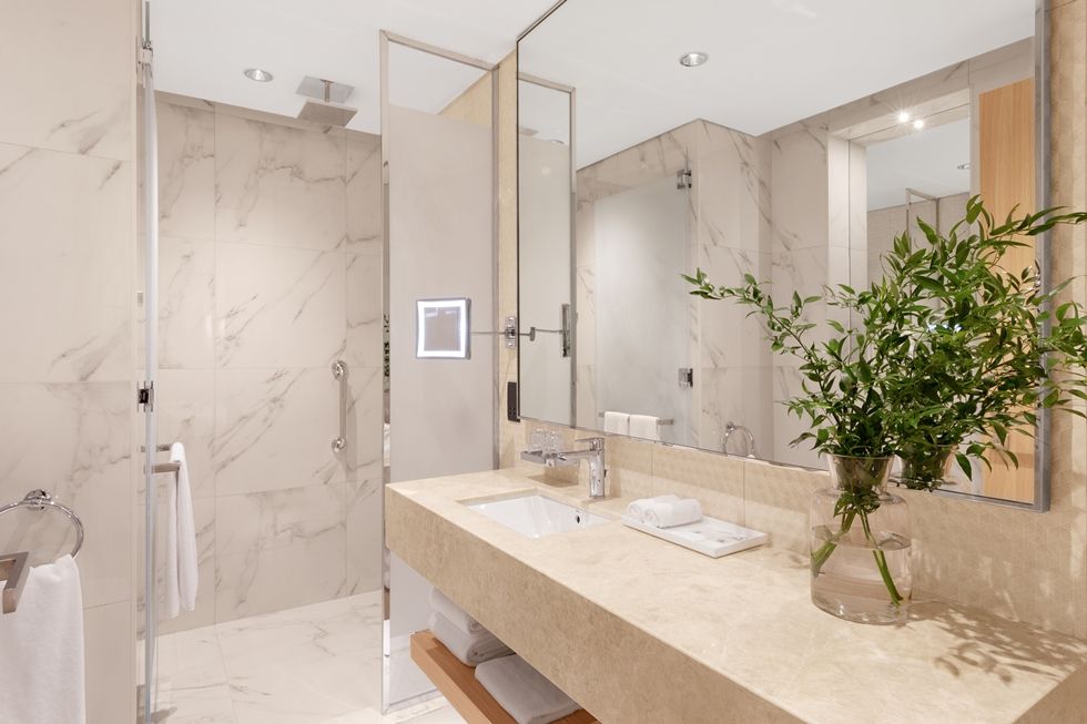 Adagio Premium The Palm фото 56