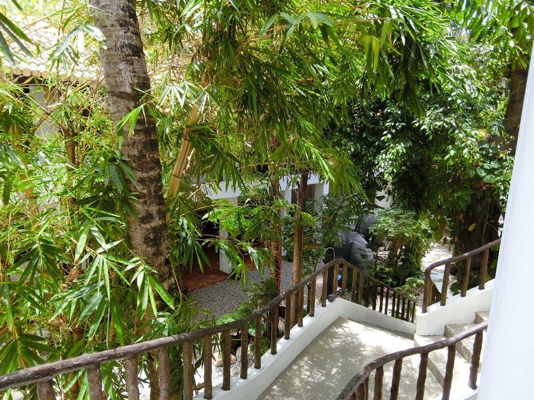 Mango-Ray Resort фото 3