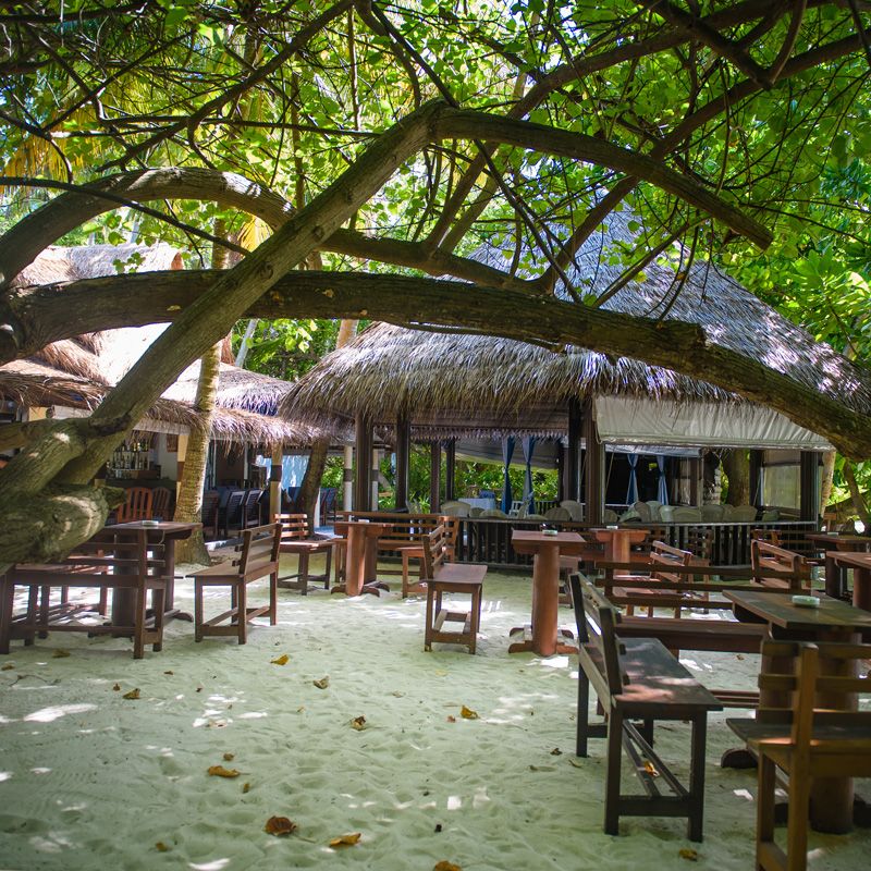 Biyadhoo Island Resort фото 43