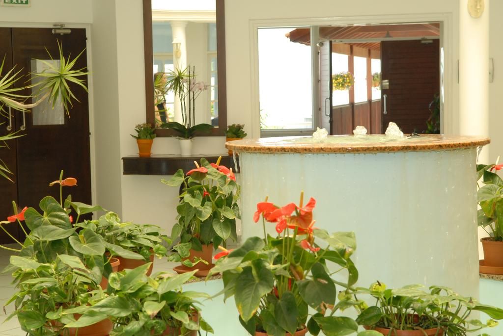 Maistrali Hotel Apartments & Bungalows фото 33