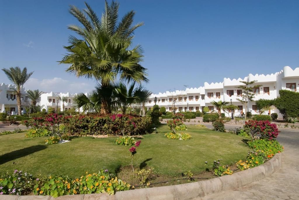 Swiss Inn Resort Dahab фото 69