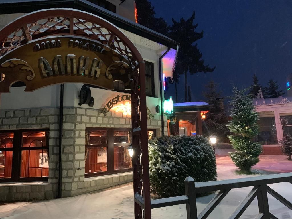 Hotel Alpin фото 13