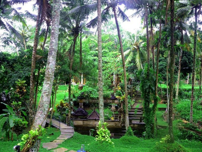 Plataran Ubud Hotel & Spa фото 37