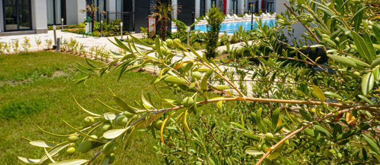 Фото отеля Отель C Suites Antalia Airport