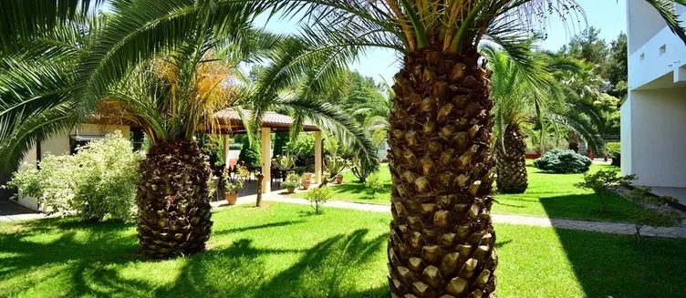 Фото отеля Hotel Sharmat