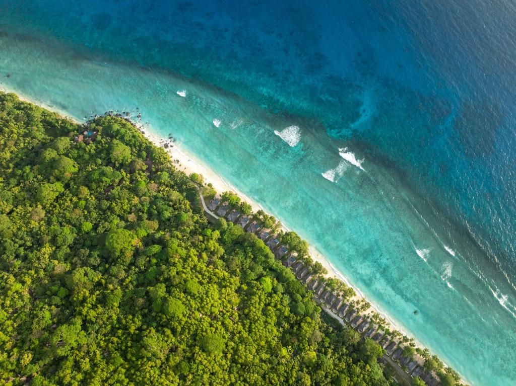 Niva Labriz Seychelles фото 69
