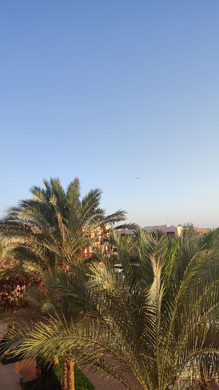 Jaz Makadi Saraya Resort фото 62