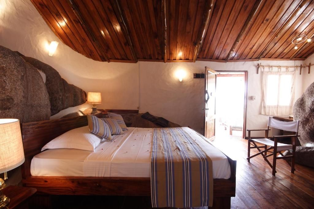 Chauve Souris Relais фото 49
