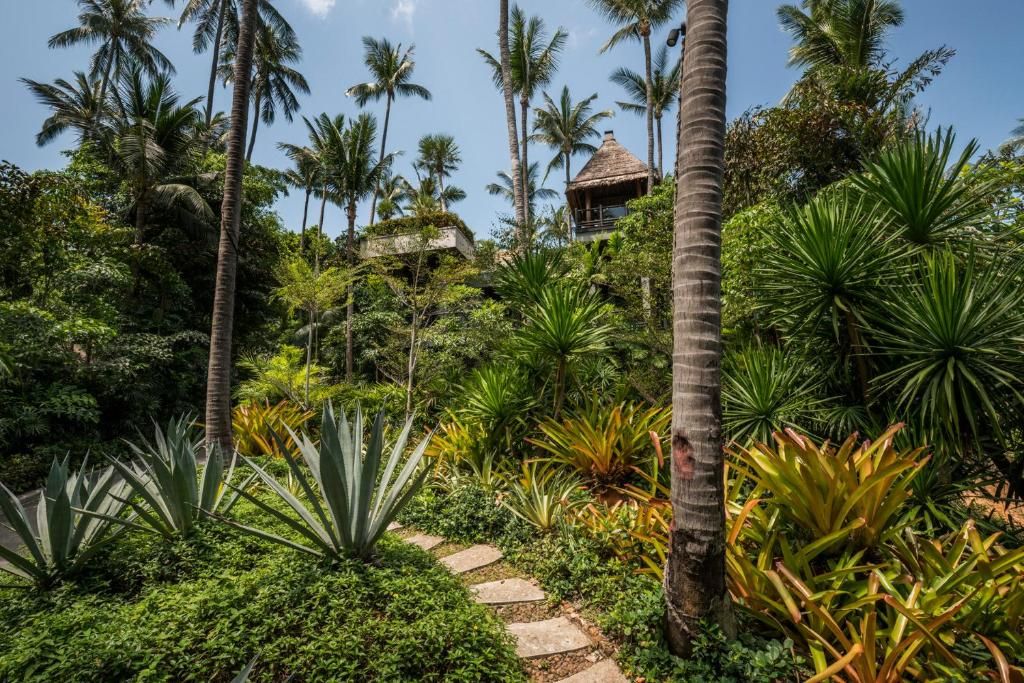 Four Seasons Resort Koh Samui фото 27