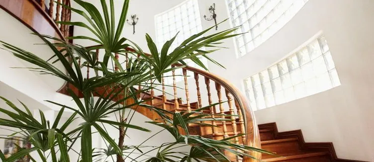 Фото отеля Petit Amour Villa