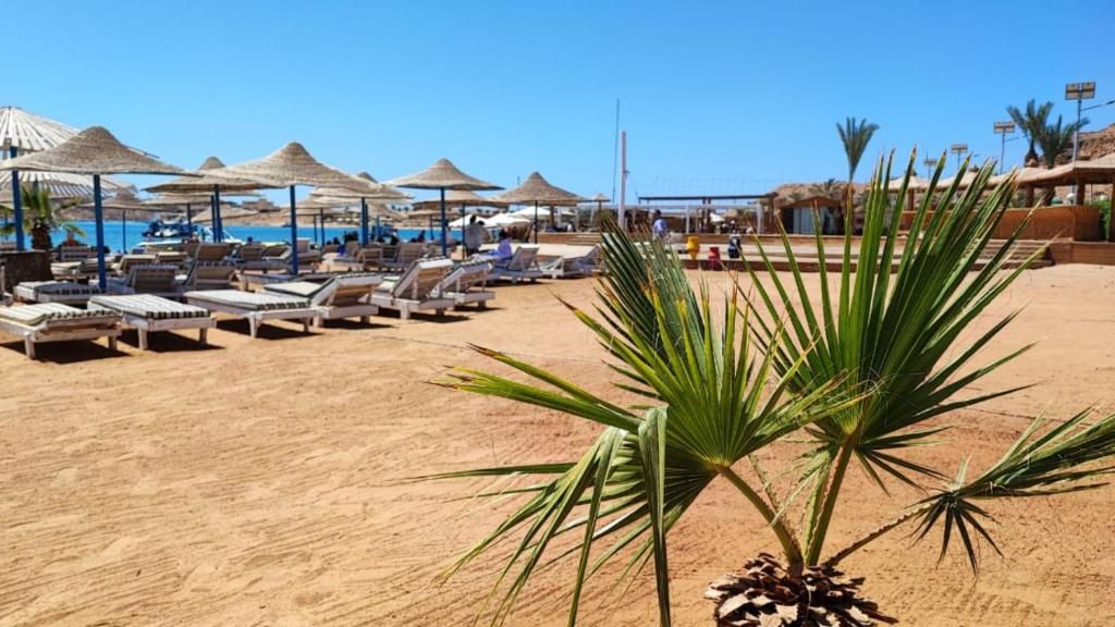 Turquoise Beach Hotel фото 101