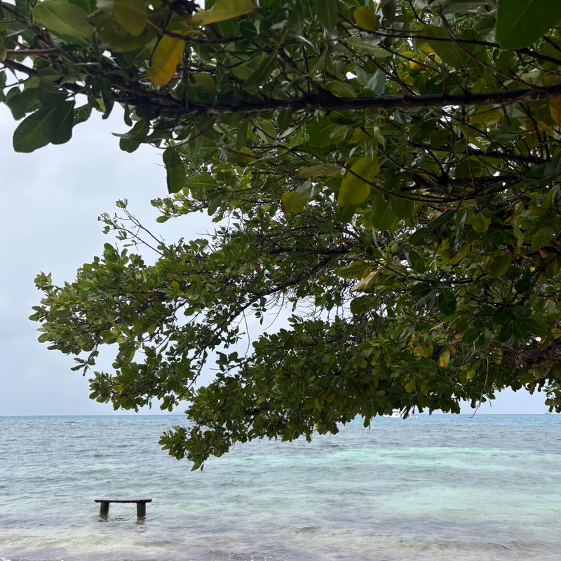 Guest House «Endheri Sunset Dhangethi Guest House» фото 17