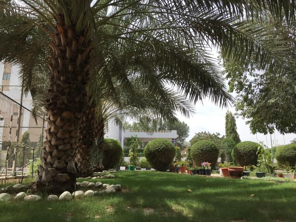 Hotel Al Madinah Holiday фото 38