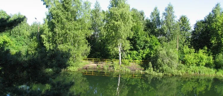 Фото отеля Санаторий «Сосны»