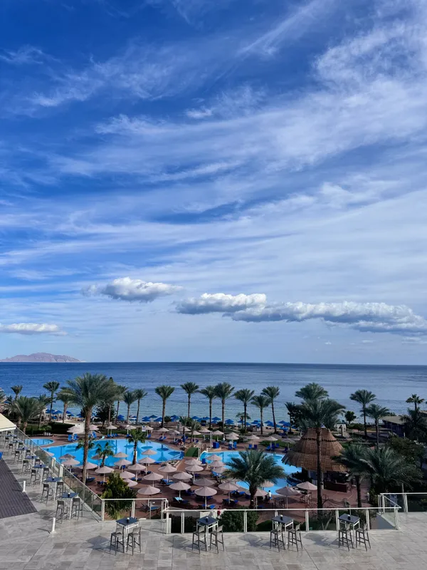 Pickalbatros Royal Grand Resort Sharm El Sheikh (Adults Only) фото 136