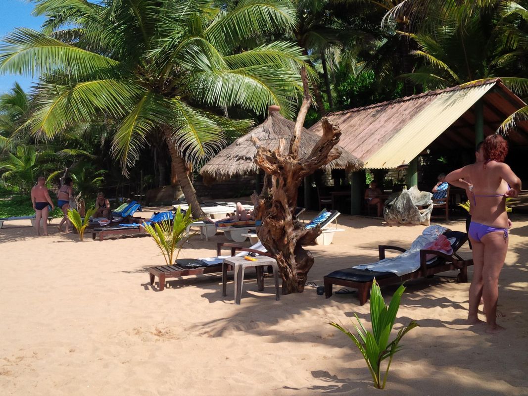 Royal Beach Resort фото 3