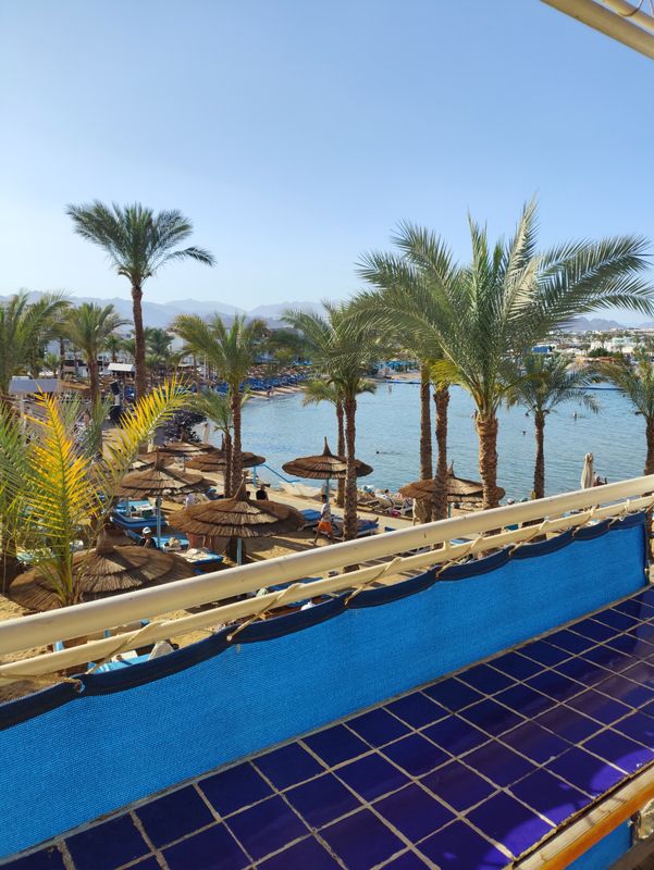 Lido Sharm Hotel фото 79