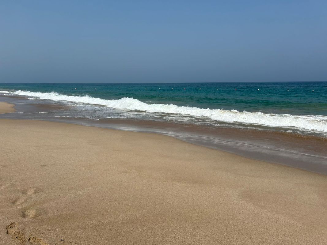 Miramar Al Aqah Beach Resort фото 69