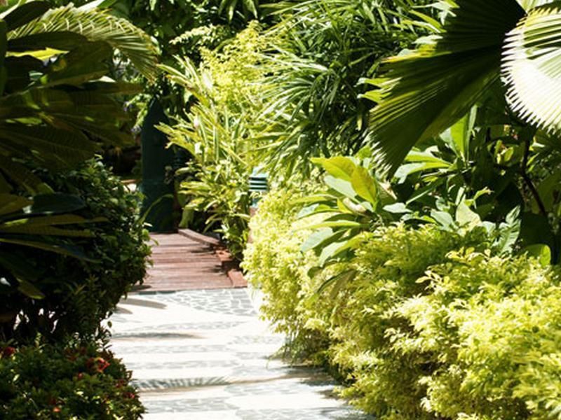 Salad Beach Resort - SHA Extra Plus фото 8