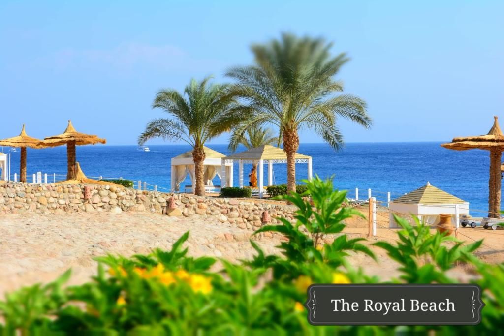 Royal Monte Carlo фото 45