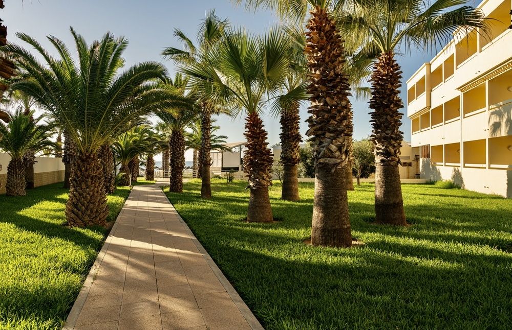 Club Novostar Omar Khayam Resort & Aqua Park фото 99